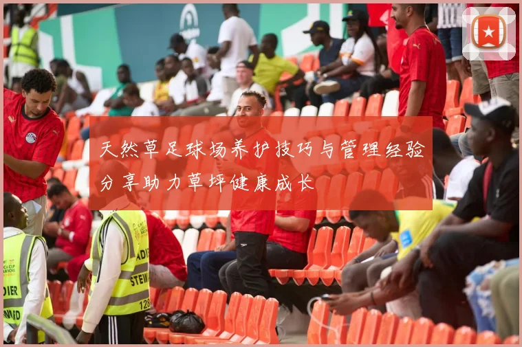 天然草足球场养护技巧与管理经验分享助力草坪健康成长