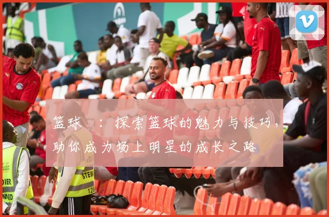 篮球玥：探索篮球的魅力与技巧，助你成为场上明星的成长之路